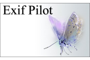 Exif Pilot 6.29 EXIF、IPTC、XMP 等编辑工具-当下软件站